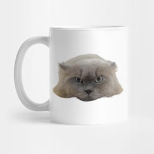 Persian cat Mug